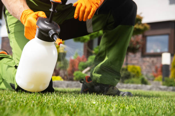 Best Bird Control  in Mledgevle, IL