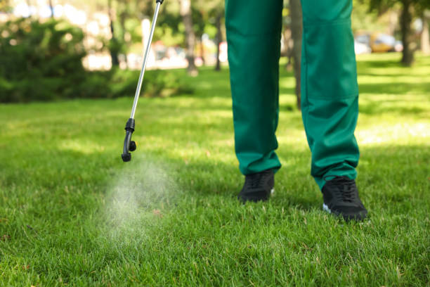 Best Pest Prevention Services  in Mledgevle, IL