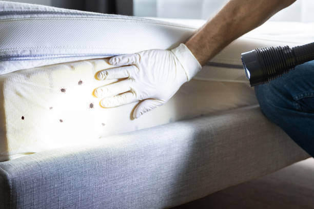 Best Pest Inspection Near Me  in Mledgevle, IL