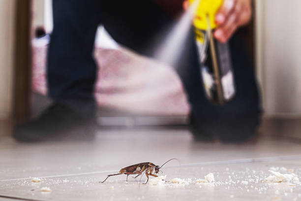 Best Cockroach Control Services  in Mledgevle, IL