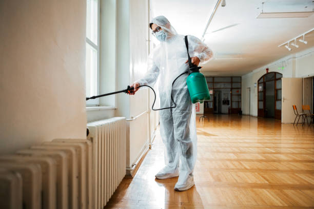 Best Ant Control Services  in Mledgevle, IL
